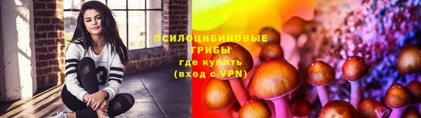 прущая мука Медногорск