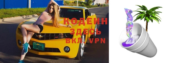 шишки Майский