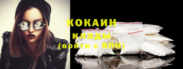 шишки Майский