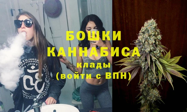шишки Майский