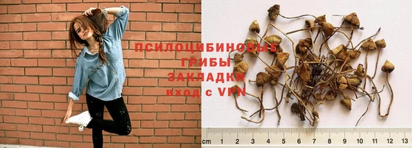 шишки Майский
