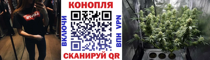 Марихуана план Октябрьск